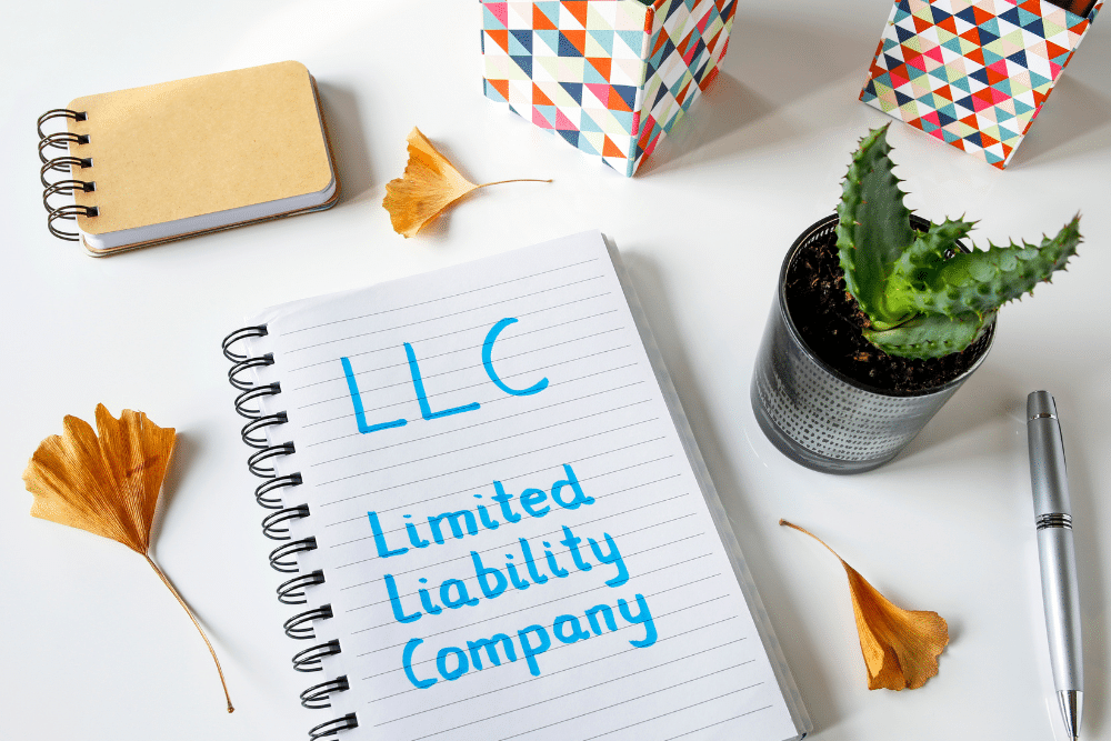 Who Are the Parties in a Limited Liability Company?