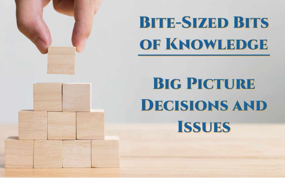 Planning for Your Legacy: Big Picture Decisions and Issues