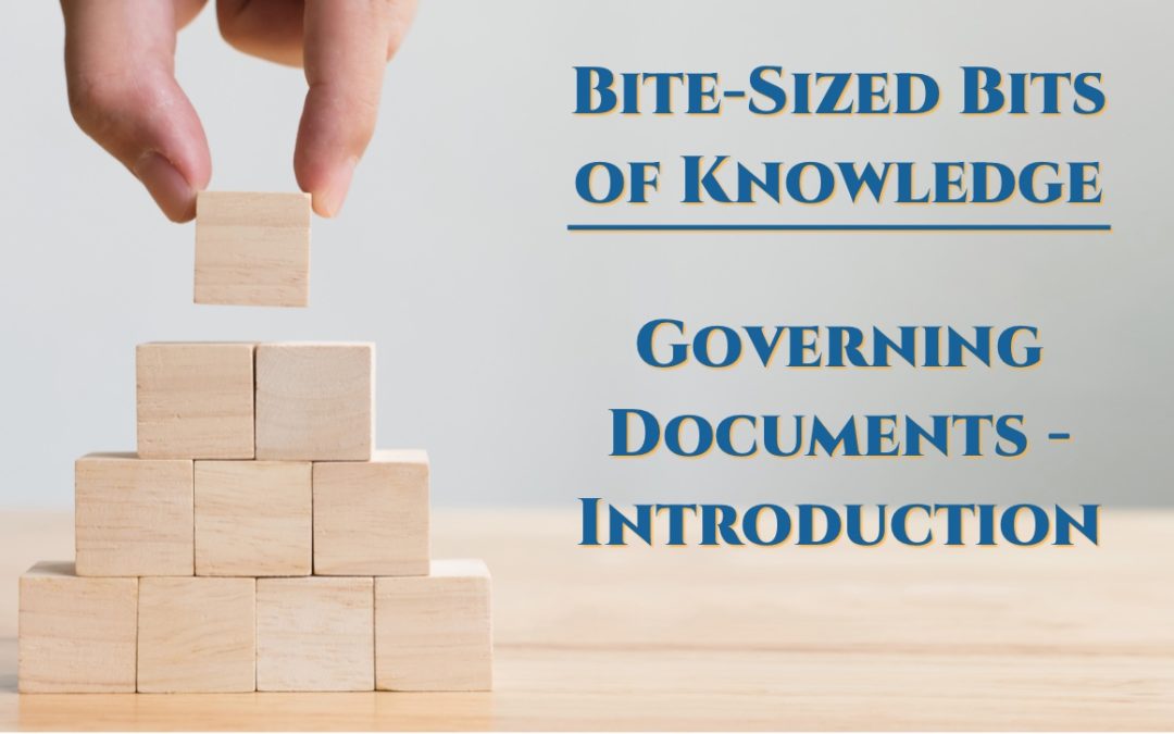 An Introduction to Governing Documents for Your Business