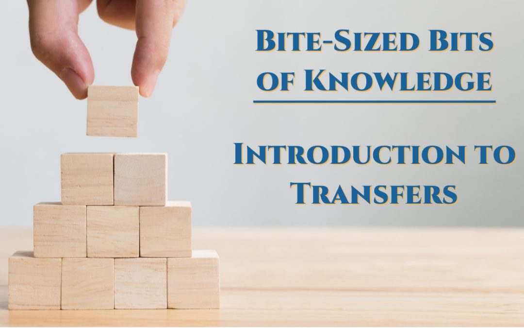 An Introduction to Business Share Transfers