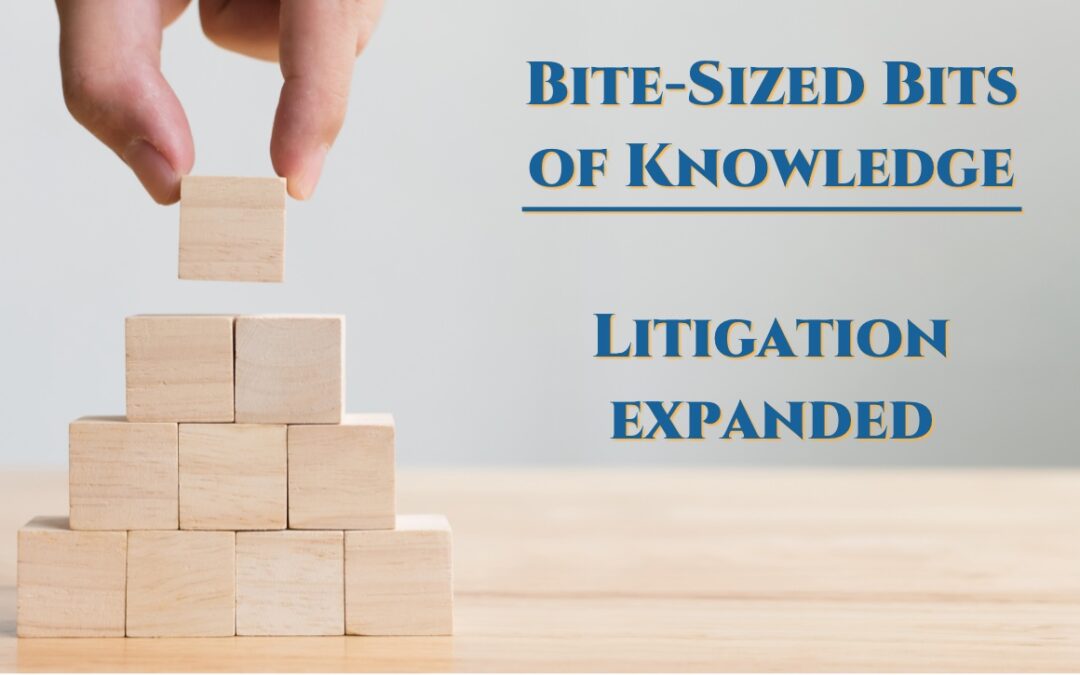 The Reality of the Litigation Process (and Why to Avoid It)